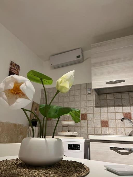 Casa Vacanze “Da Concetta” Бари Екстериор снимка